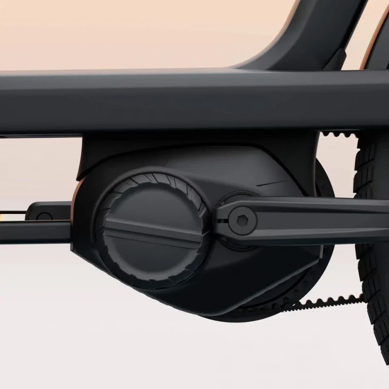 Tenways Caro one Lastenrad – Bild 4