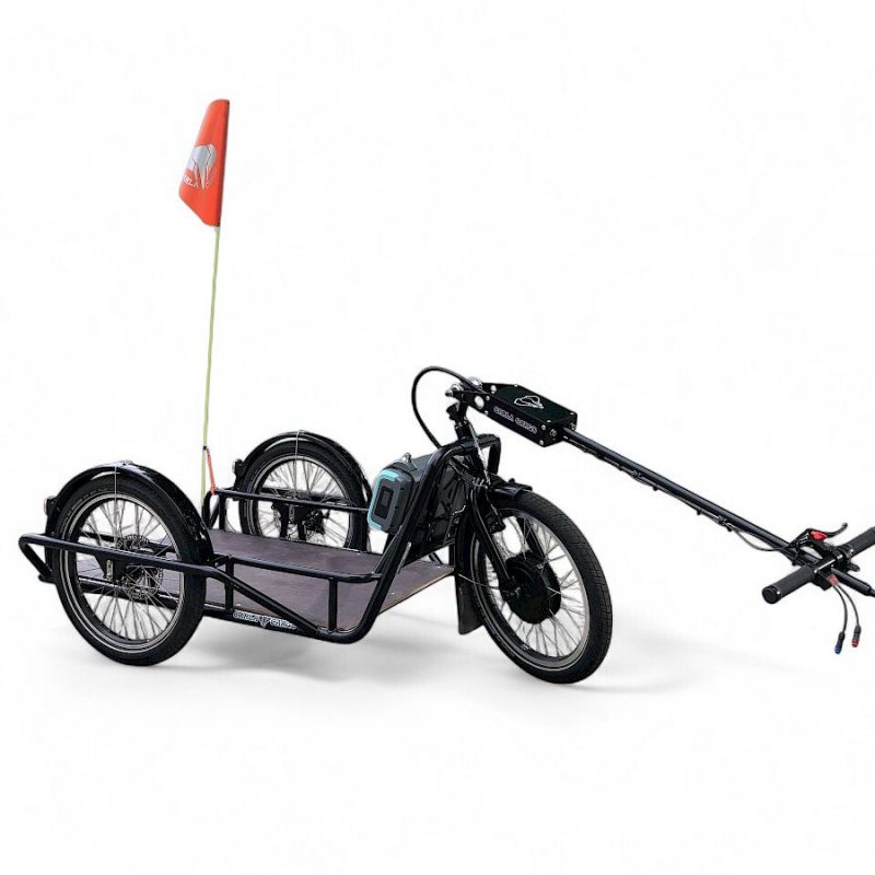 E-Carla Cargo CARLA mini